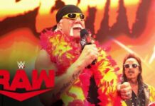 Hulk Hogan regresa a WWE