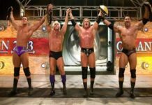 WWE Evolution