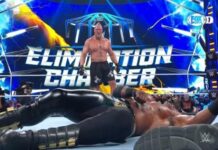 Brock Lesnar & Bobby Lashley WWE Elimination Chamber