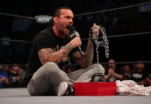 Importante actualización de CM Punk