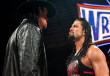 The Undertaker & Roman Reigns WWE 2017
