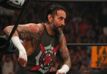 CM Punk