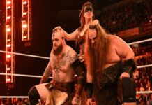 Viking Raiders