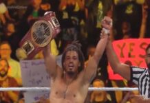 Wes Lee WWE NXT Stand & Deliver