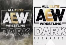 AEW Dark y AEW Dark Elevation llegan a su fin en AEW