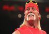 Hulk Hogan WWE
