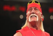 Hulk Hogan WWE