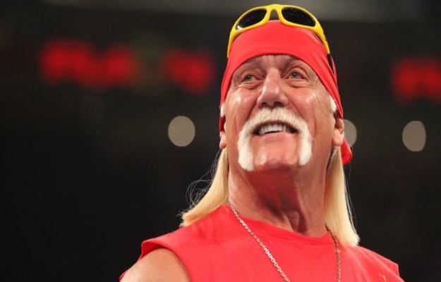 Hulk Hogan WWE