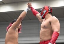 NJPW BOSJ 30