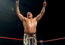 The Iron Sheik