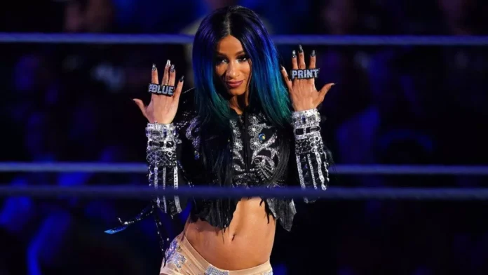 Sasha-Banks-WWE.jpg Sasha Banks tantea su regreso a WWE