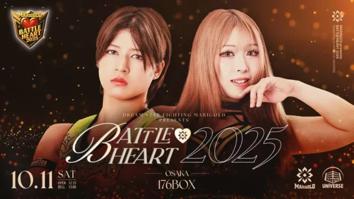 Marigold 11 octubre 2025 Marigold 11 octubre 2025