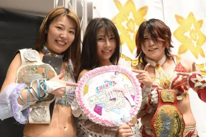 Marigold 19 octubre Marigold 19 octubre