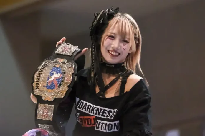 Marigold 22 noviembre