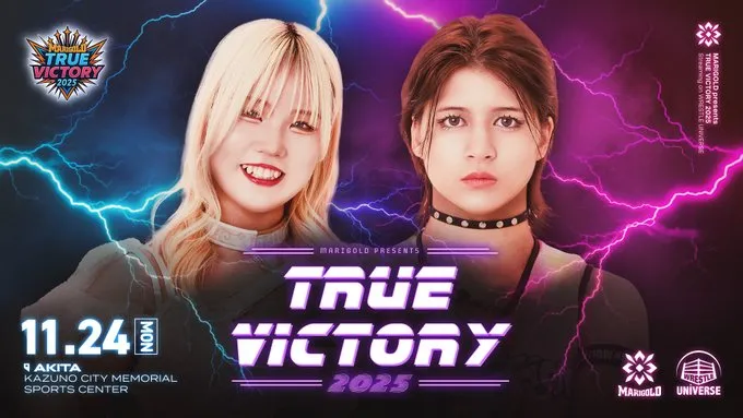 marigold 24 noviembre marigold 24 noviembre