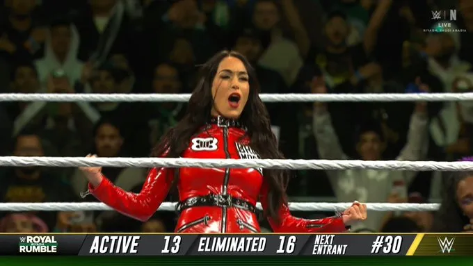 Brie Bella WWE Brie Bella WWE