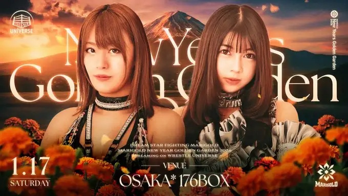 Marigold 17 enero 2026 Marigold 17 enero 2026