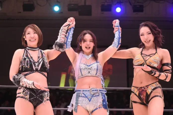 Marigold 24 enero 2026 Marigold 24 enero 2026