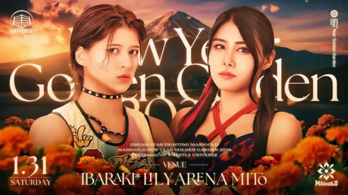 Marigold 31 enero 2026