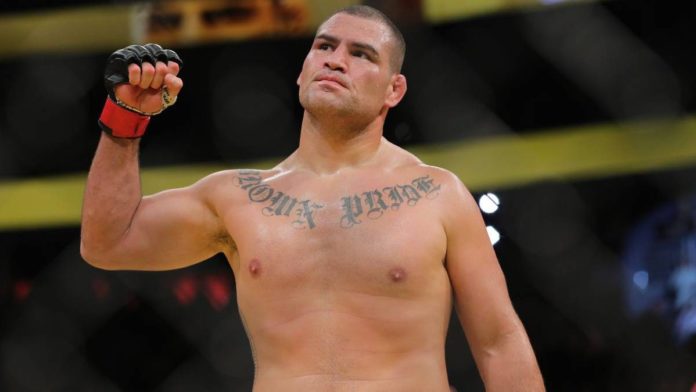La inclusión de luchadores de MMA y Boxeo en WWE