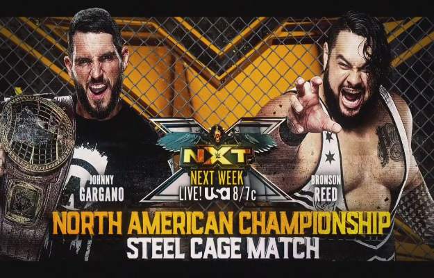 NXT Steel Cage