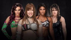 NXT TakeOver WarGames womens