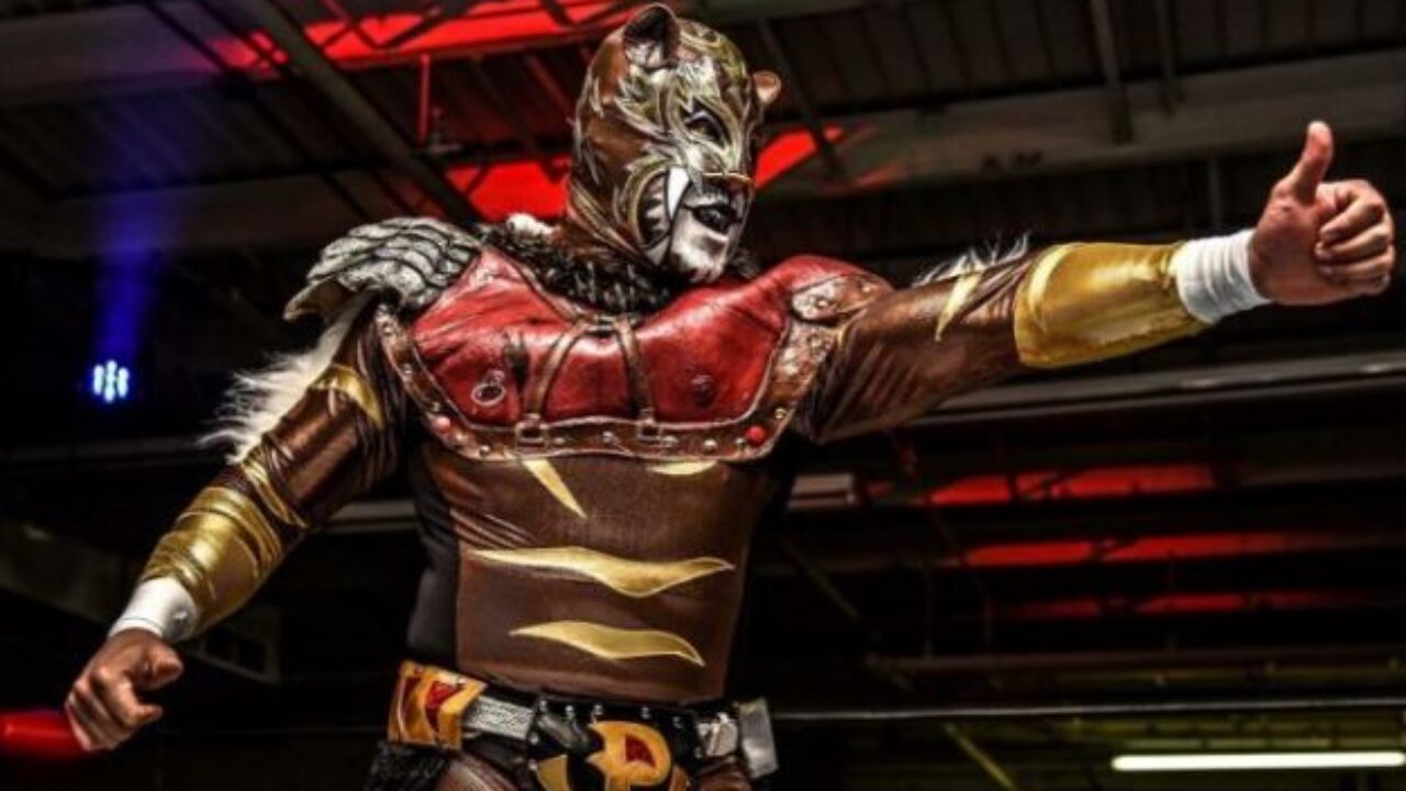 Purchase Puma King Luchador Up To 65 Off