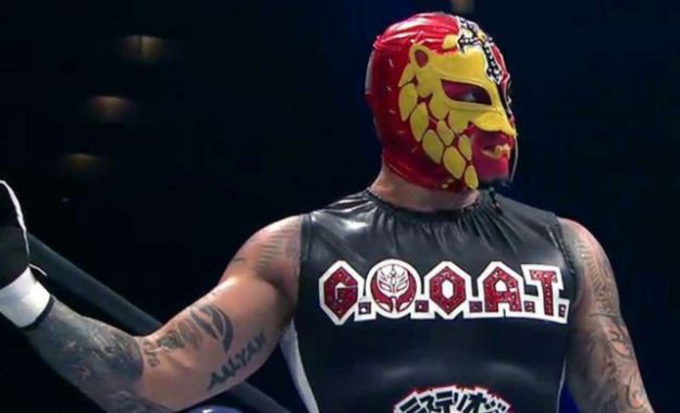 Rey Mysterio regresaría a la WWE en el próximo mes