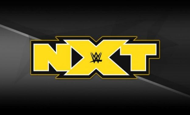 despidos de luchadores en WWE NXT