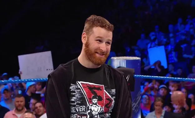 ¿Por qué Sami Zayn no lucha en WWE_ ¿Por qué Sami Zayn no lucha en WWE_