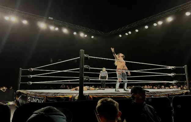 Seth Rollins Resultados WWE Sunday Stunner