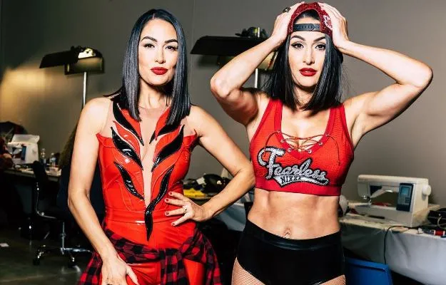The Bella Twins The Bella Twins