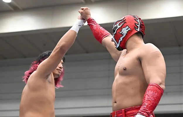 NJPW BOSJ 30 (2) NJPW BOSJ 30