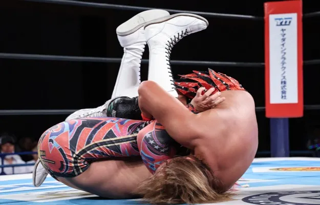 G1 Climax 33 (1) G1 Climax 33