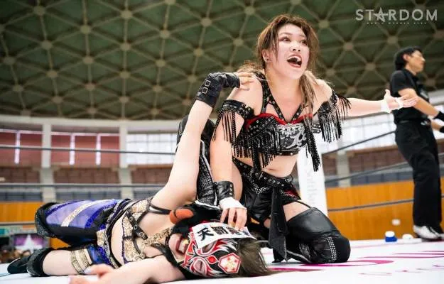 Resultados Stardom (2) Resultados Stardom