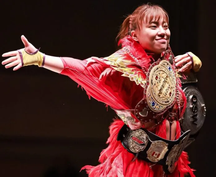 Banner Miyuki Banner Miyuki 1