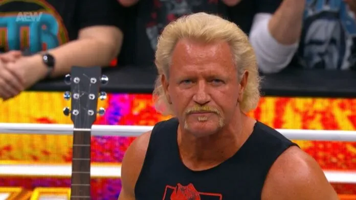 Jeff Jarrett titulos parejas triple aaa