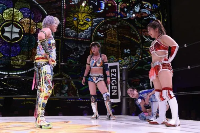 Marigold 12 enero 2025 Marigold 12 enero 2025