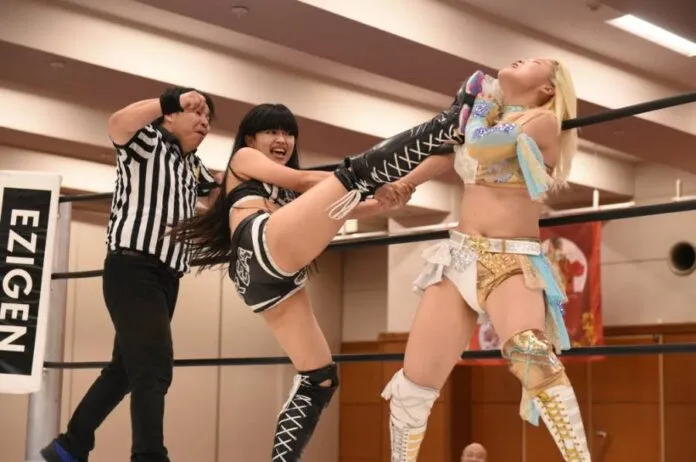 Marigold 1 de marzo Marigold 1 de marzo