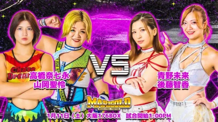 Marigold 11 de enero