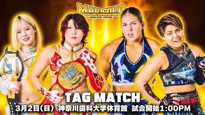 Marigold 2 de marzo Marigold 2 de marzo