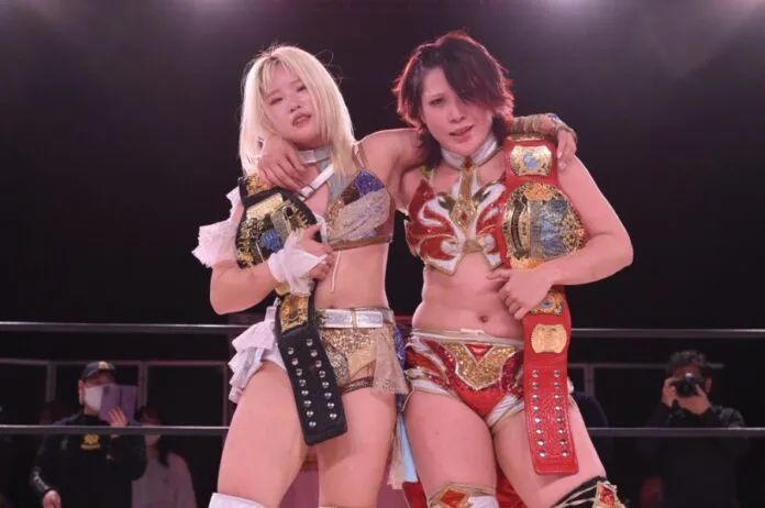 Marigold 9 de marzo Marigold 9 de marzo