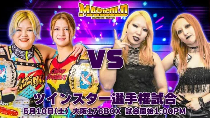 Marigold 10 mayo Marigold 10 mayo