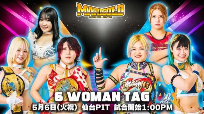 Marigold 6 mayo Marigold 6 mayo