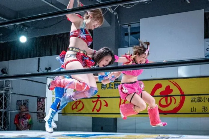 Resultados Wave 5 mayo