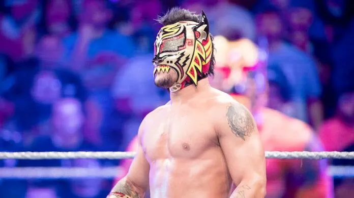 Lince Dorado (1) Lince Dorado
