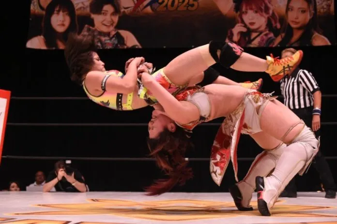 Marigold 16 agosto Marigold 16 agosto