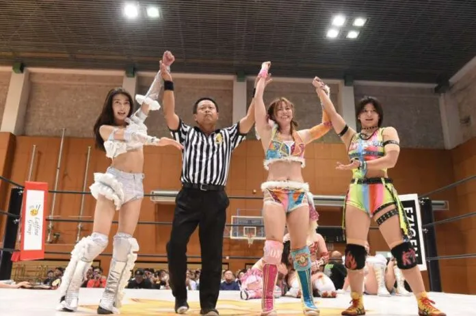 Marigold 17 agosto Marigold 17 agosto