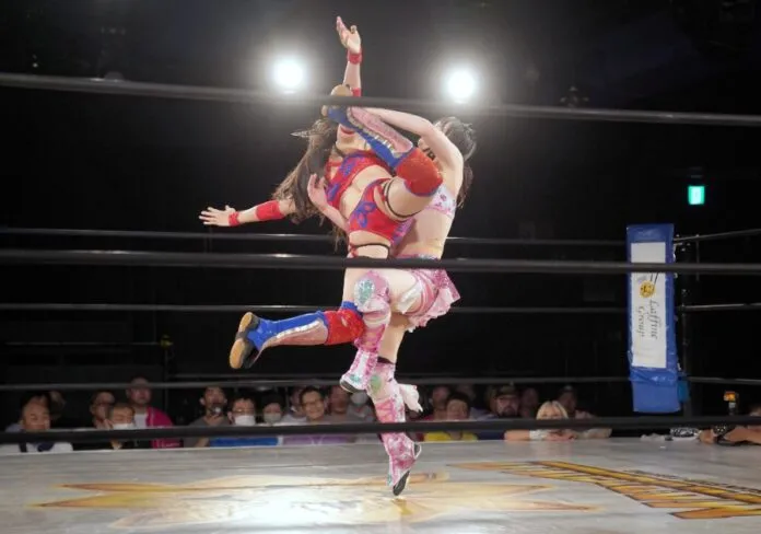 MArigold 2 septiembre MArigold 2 septiembre