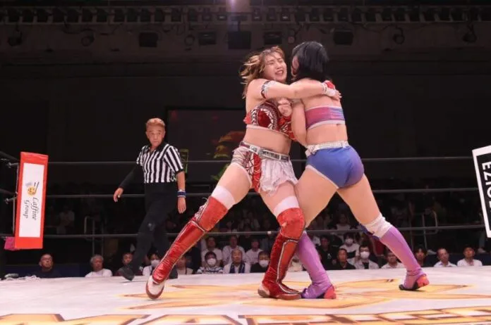 Marigold 30 agosto Marigold 30 agosto